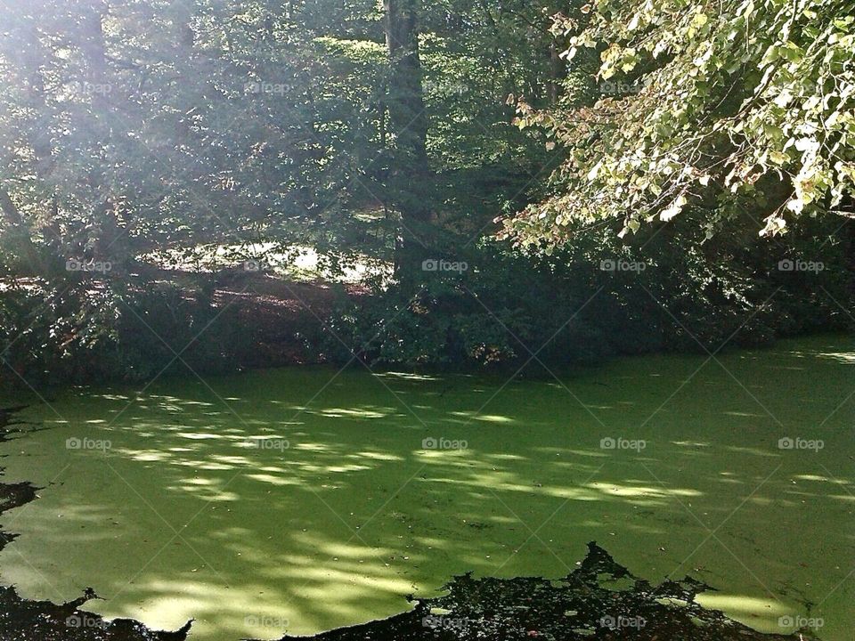 Clingendael Den Haag Netherlands