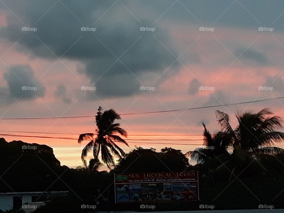 Beautiful Sky in unusual colour seen just after Sunset, coconut tree on the middle.