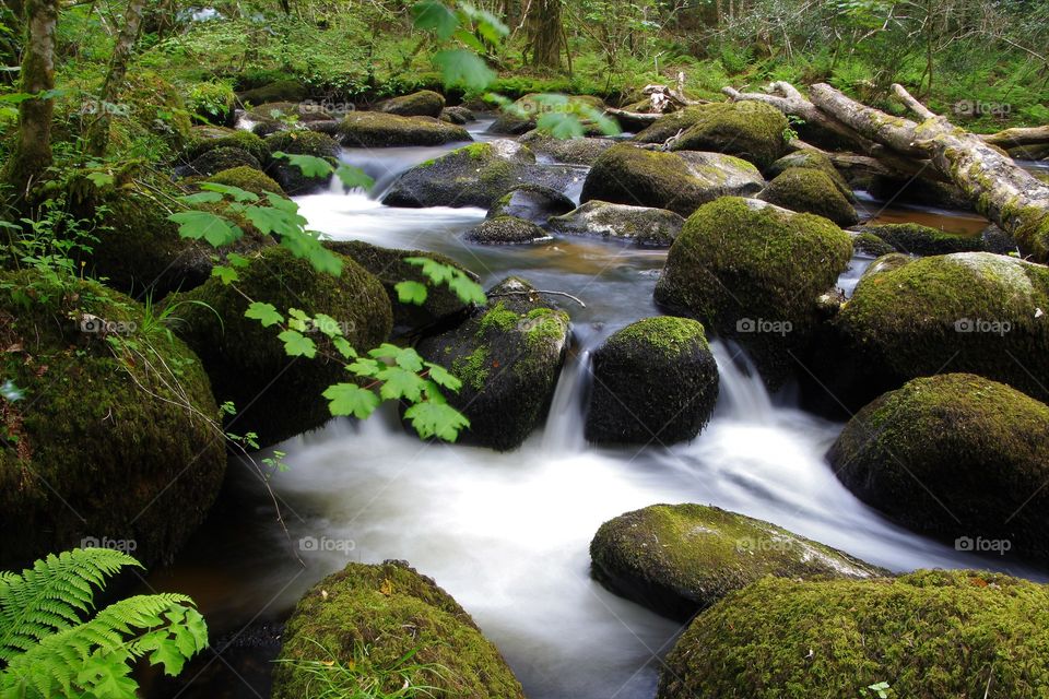 River Bovey