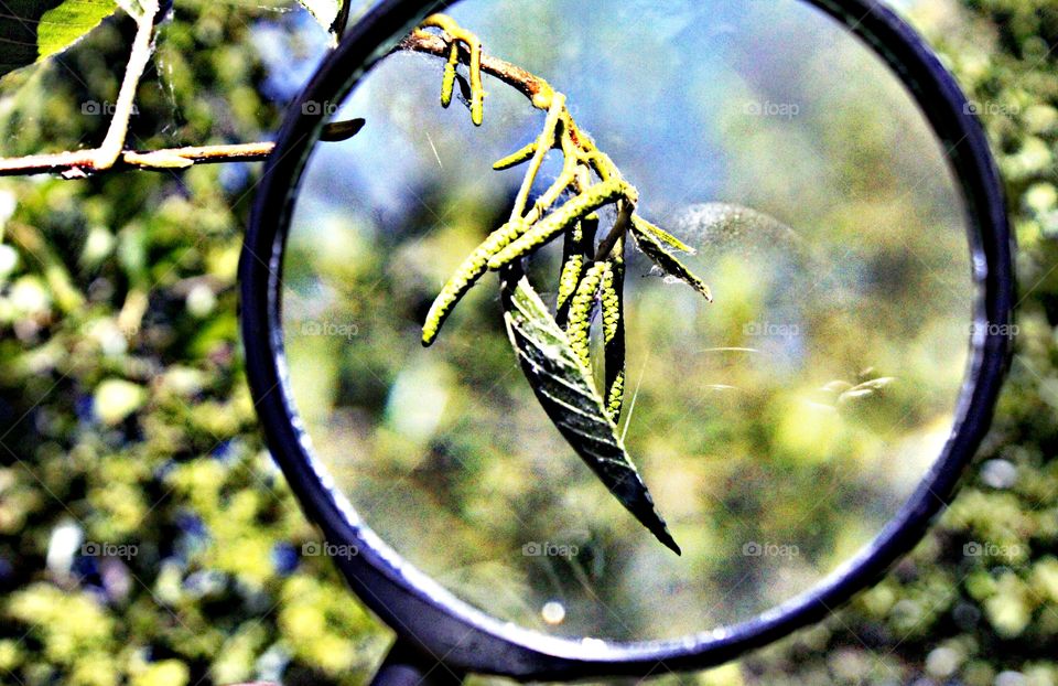 magnification photography