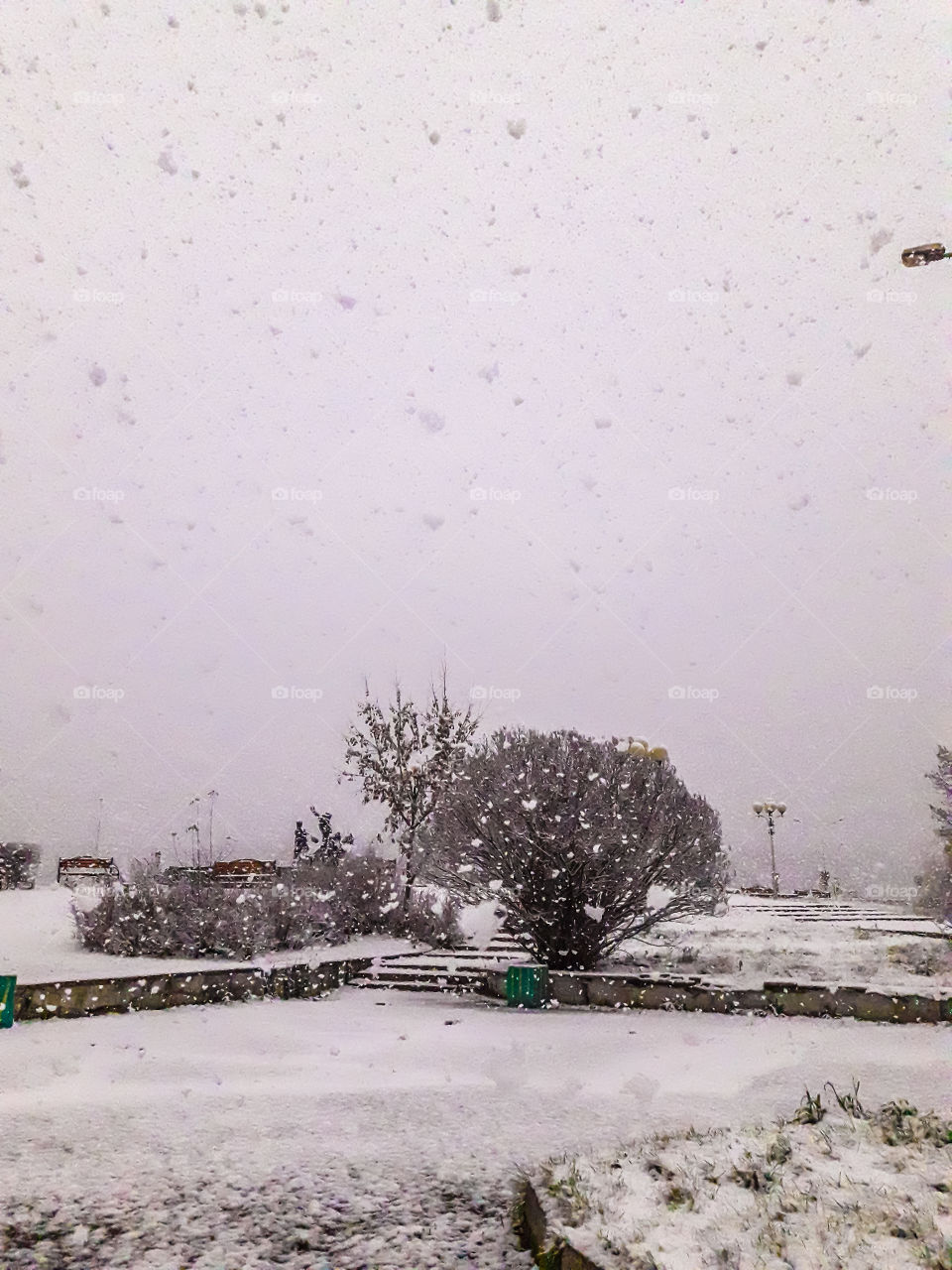 Осень город снег снегопад дерево небо хмурое дом