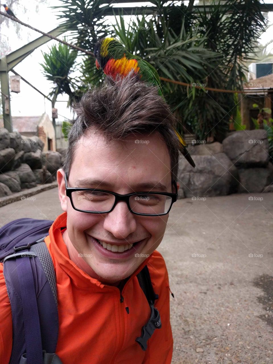 Man with parrot on his head in South Africa