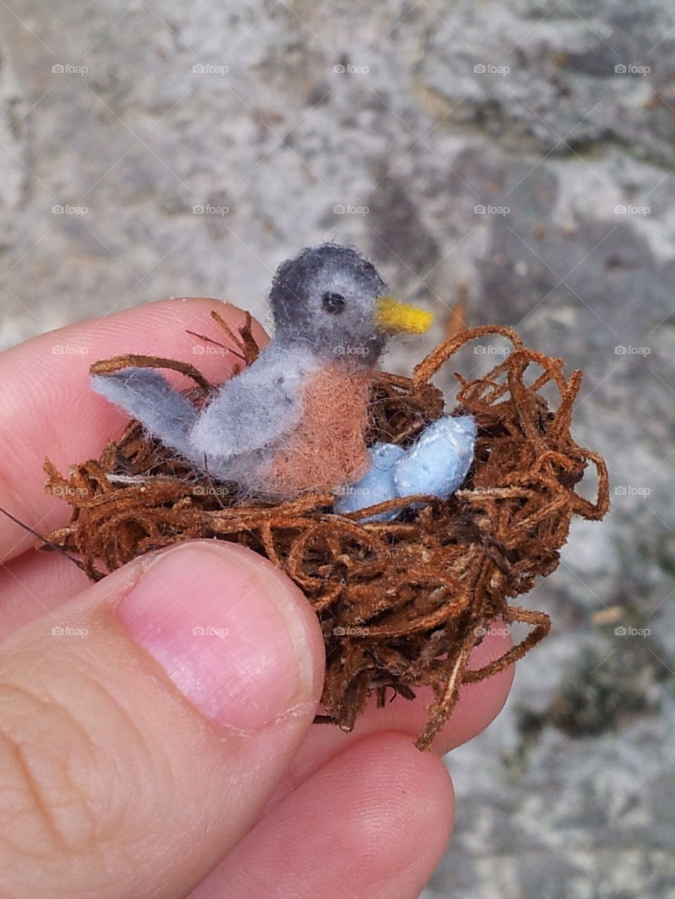 tiny robin's nest