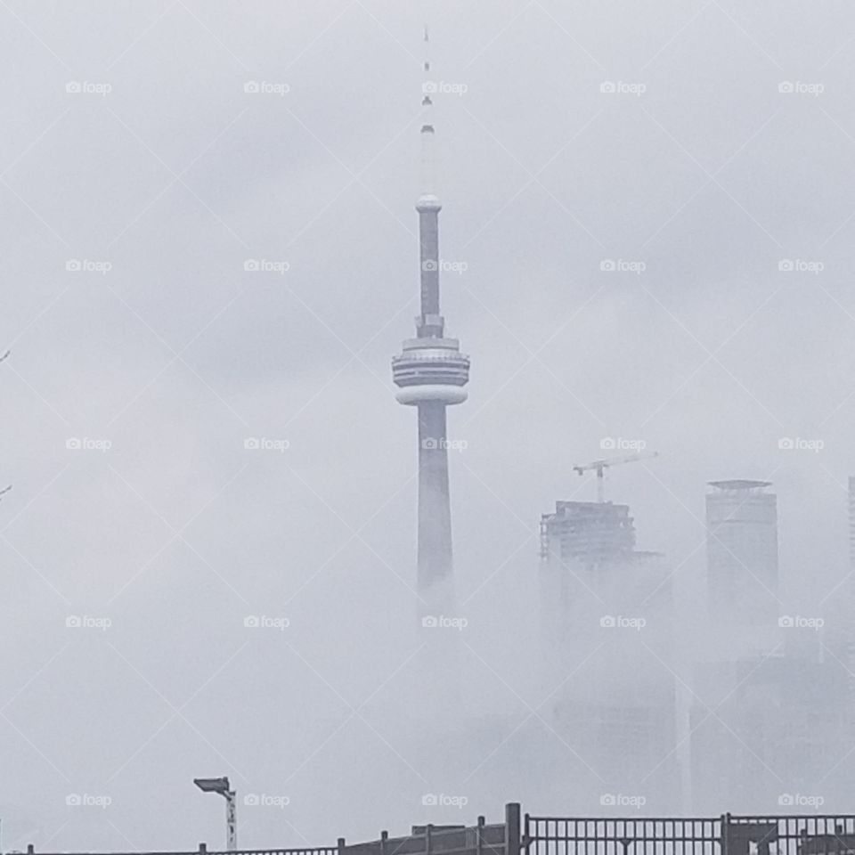 Toronto Fog