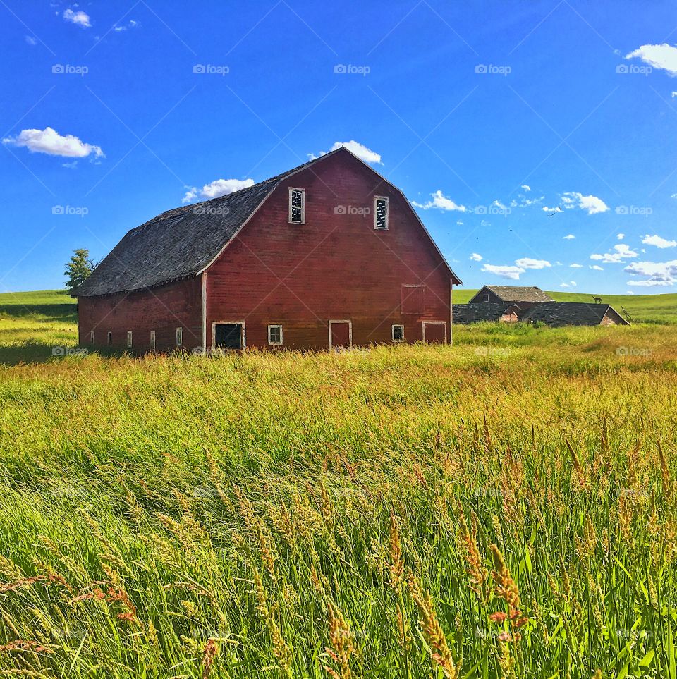 Old Barn and Outbuildings 