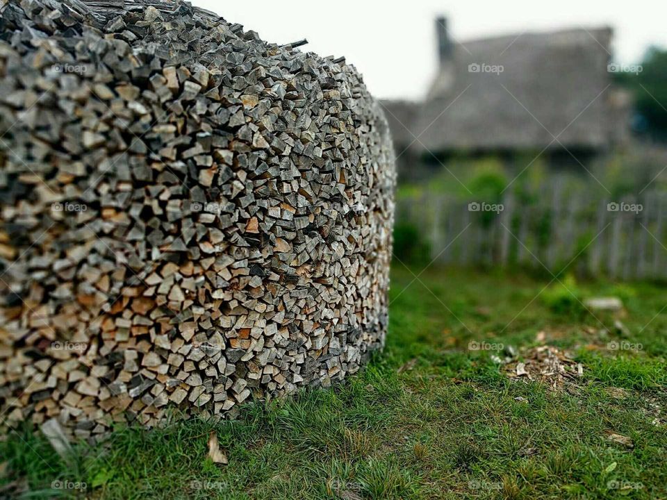 Plimoth Woodpile