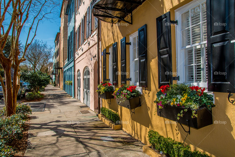 Architecture, No Person, House, Street, Window