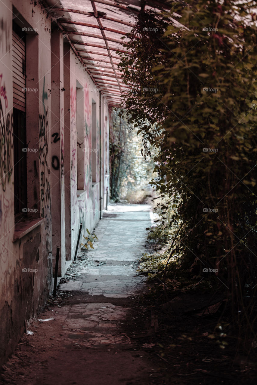 autumn corridor