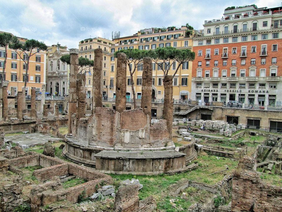 The park of the cats in Rome