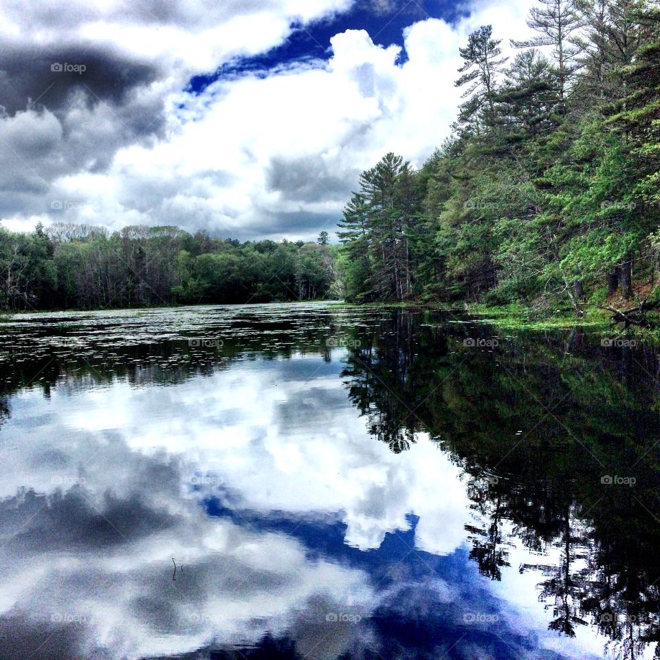 Reflection of clouds and tree on lake