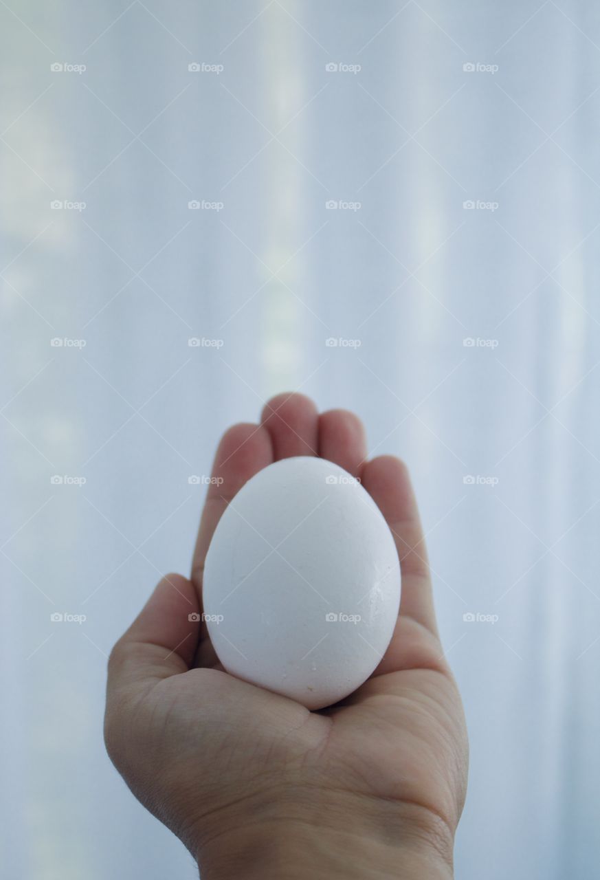 An egg in the hand