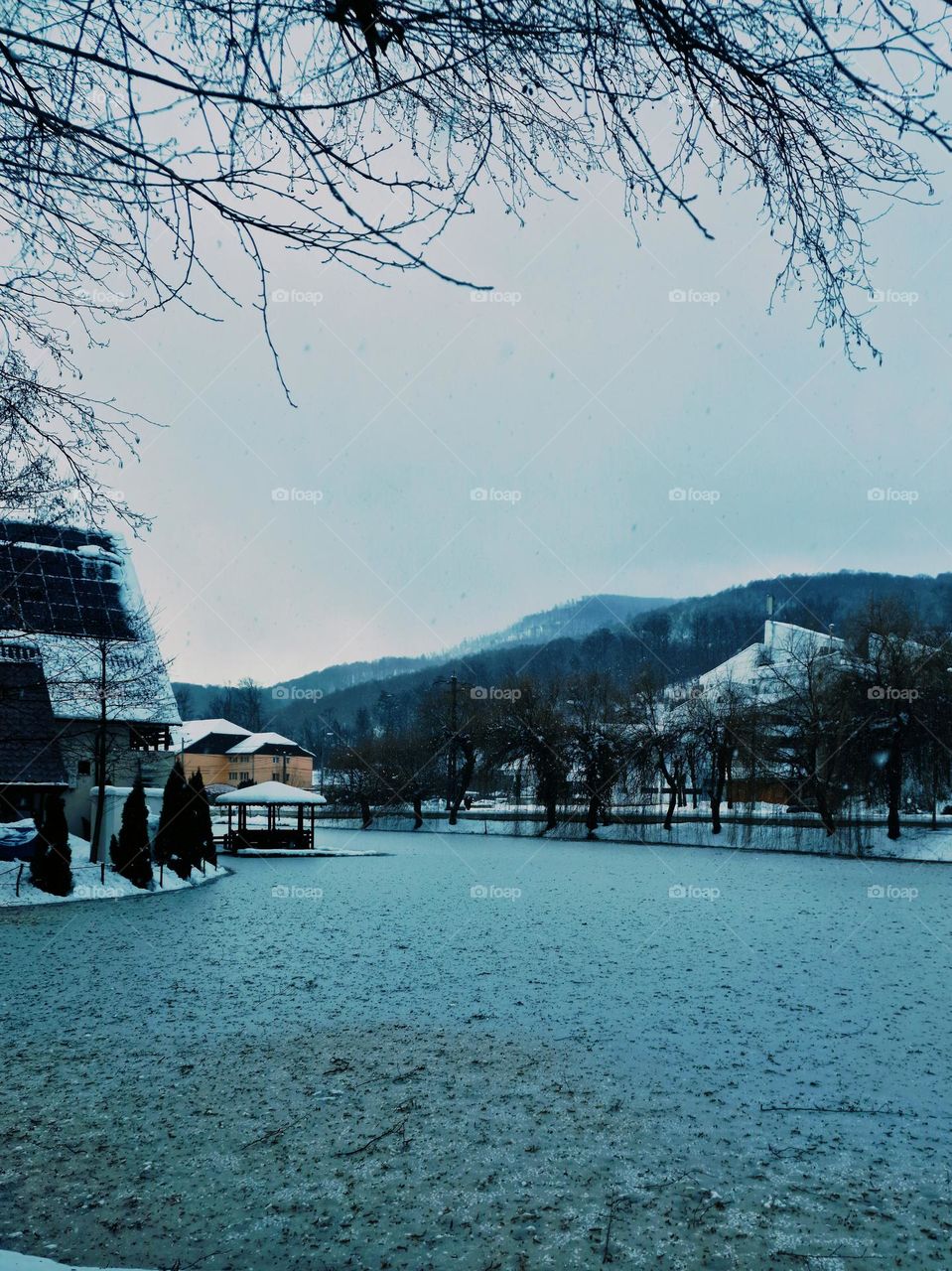 frozen landscape