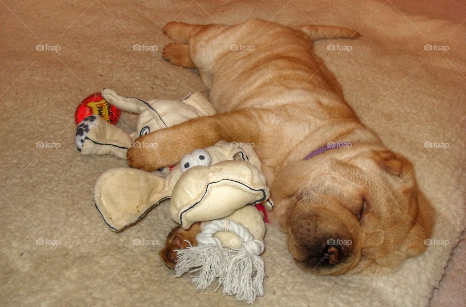 sleeping with my new buddy