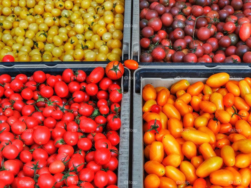 Organic Tomatoes