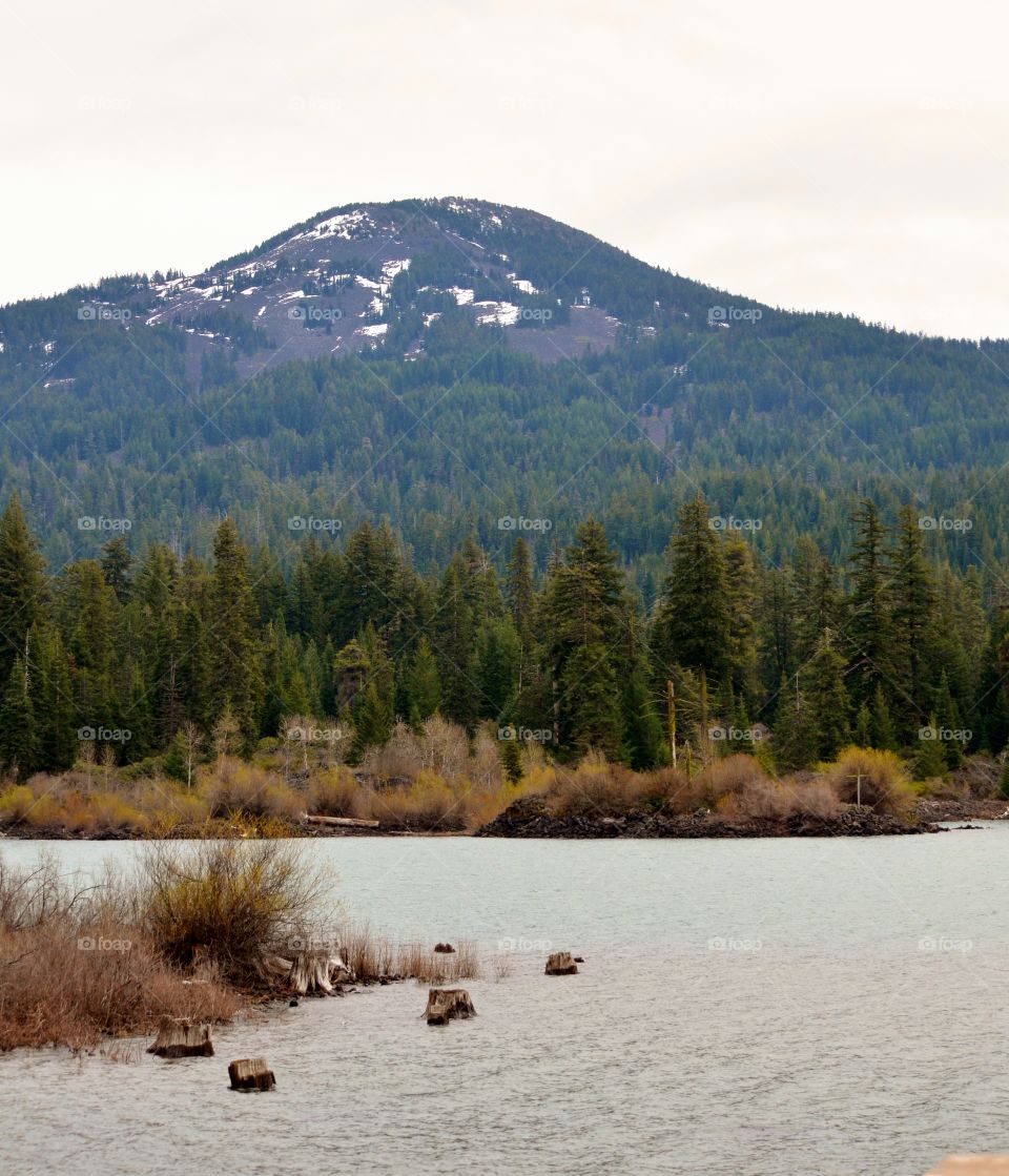 Idyllic lake during winter