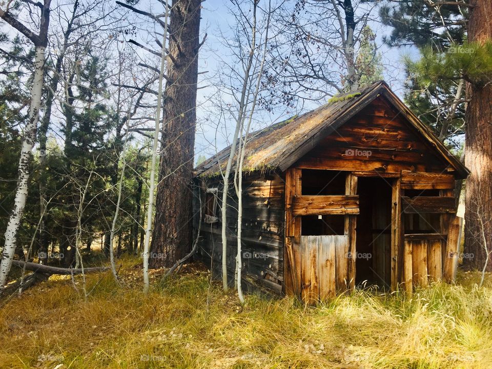 Abandoned cabin