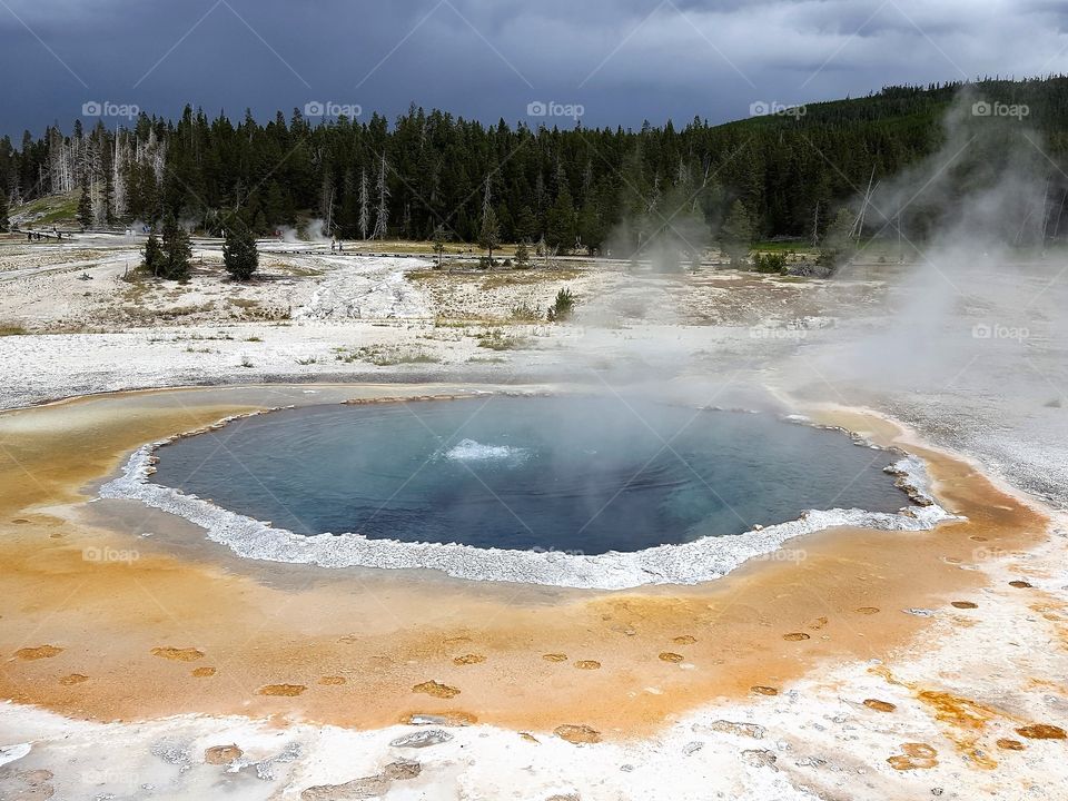 Geyser in yellowstone national park