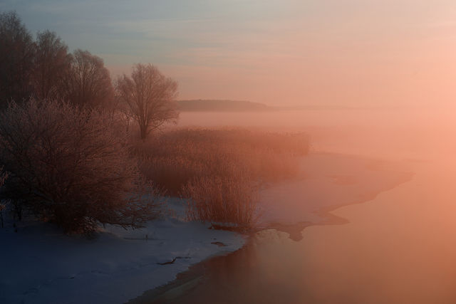 Winter morning landscape