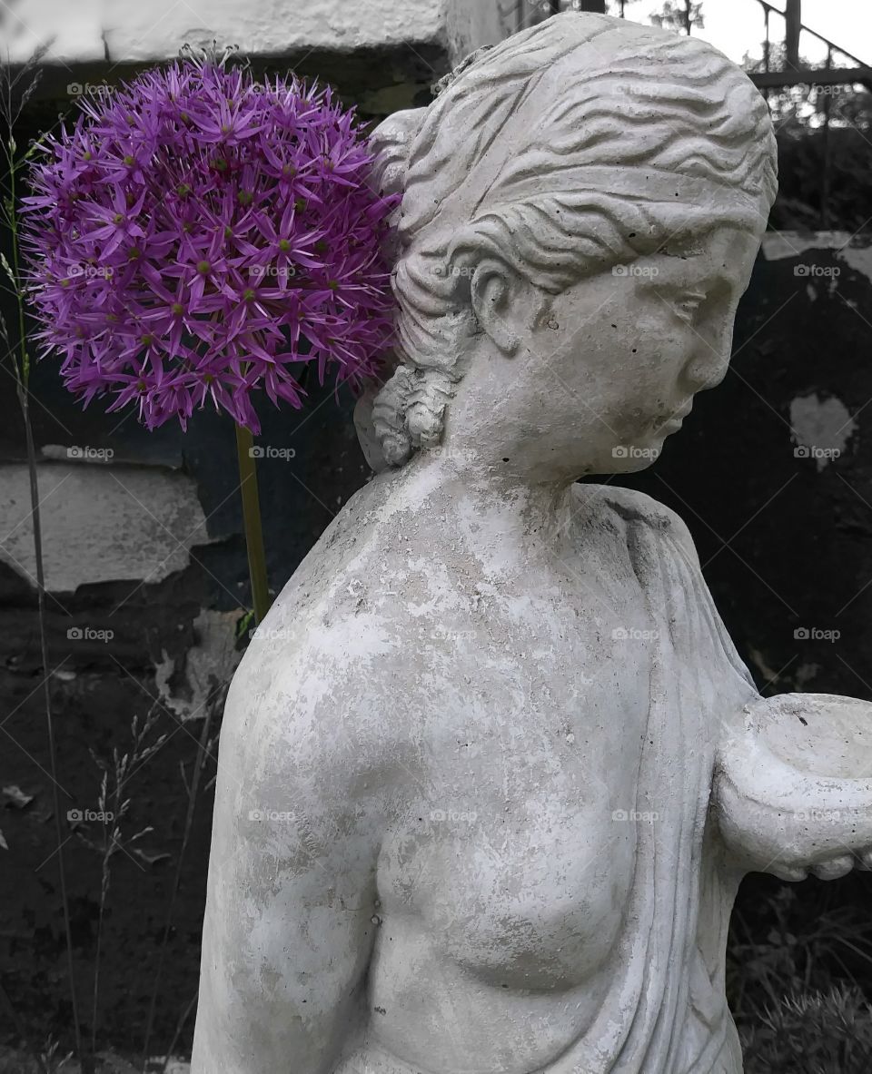 Allium and Statue