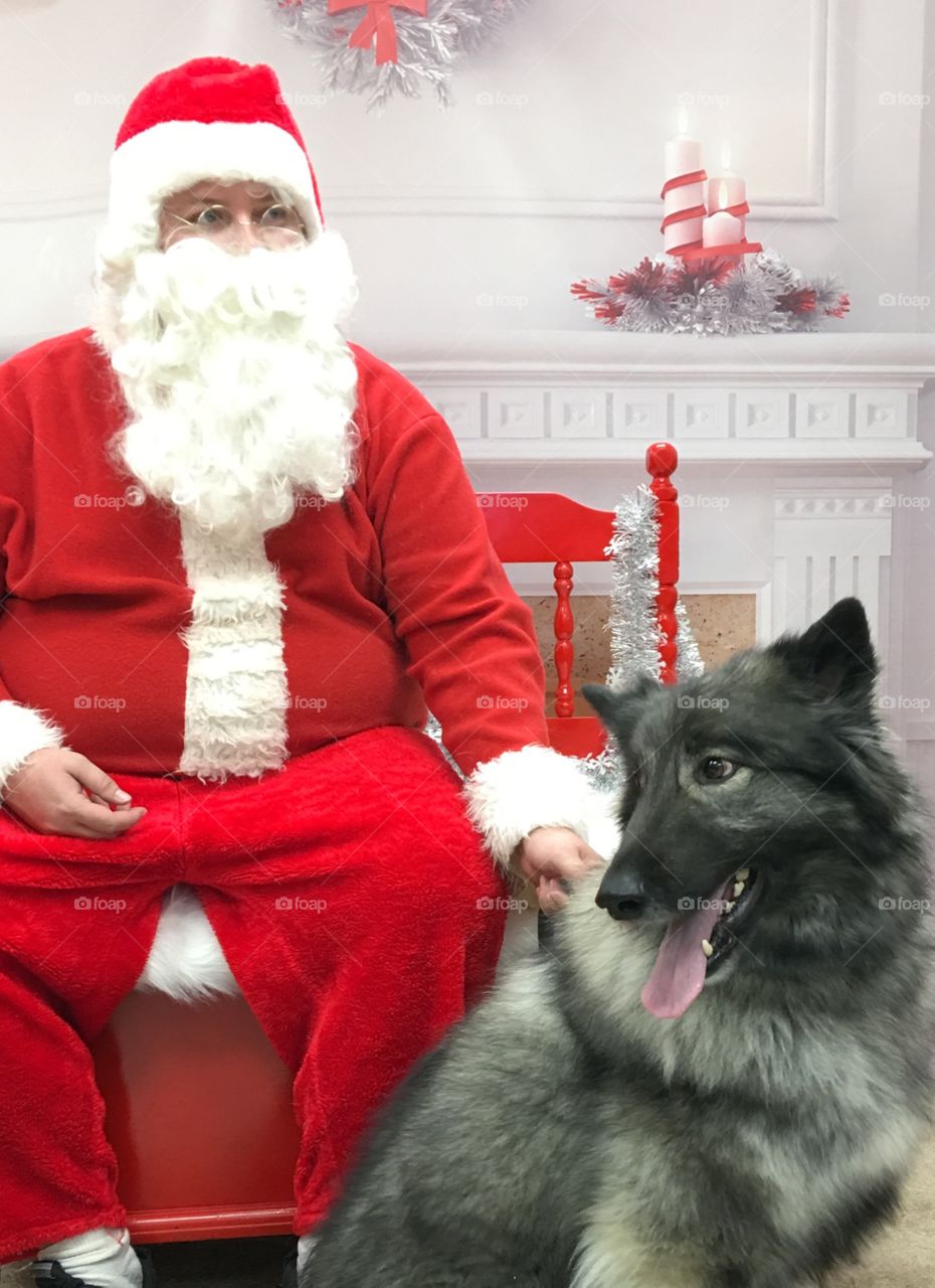 Balto meets Santa. 🐶🎄🎅🏻
Sit on Santa's lap? 
No, thank you. 
😂