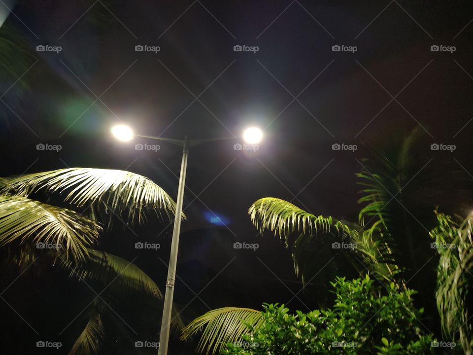 LED
Night📸📸
🌿🌴🍀☘️🌱 Flora
Illuminations