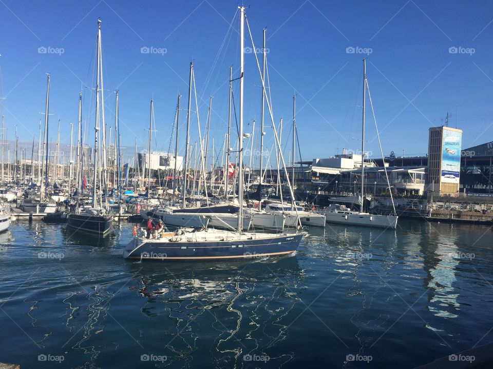 Harbor, Water, Marina, Yacht, Sailboat