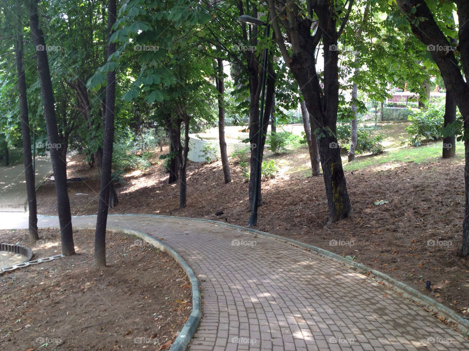 green outdoor tree park by linhof
