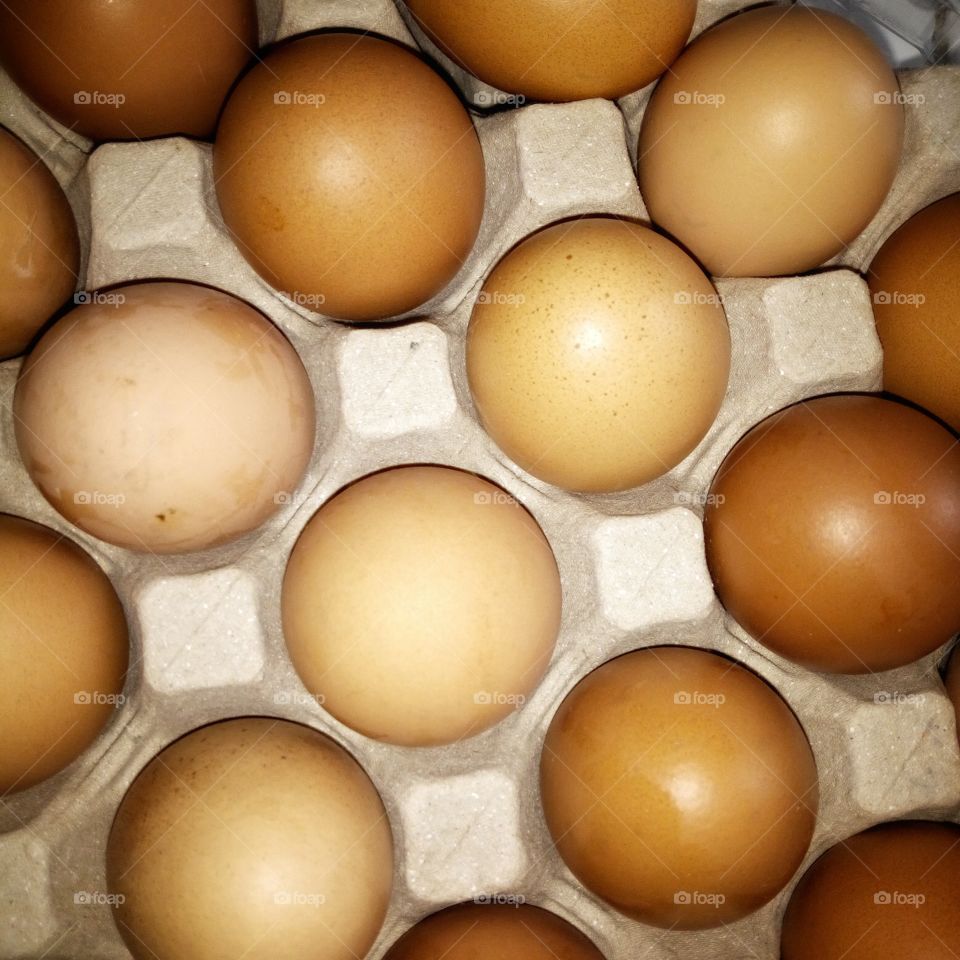 many egg