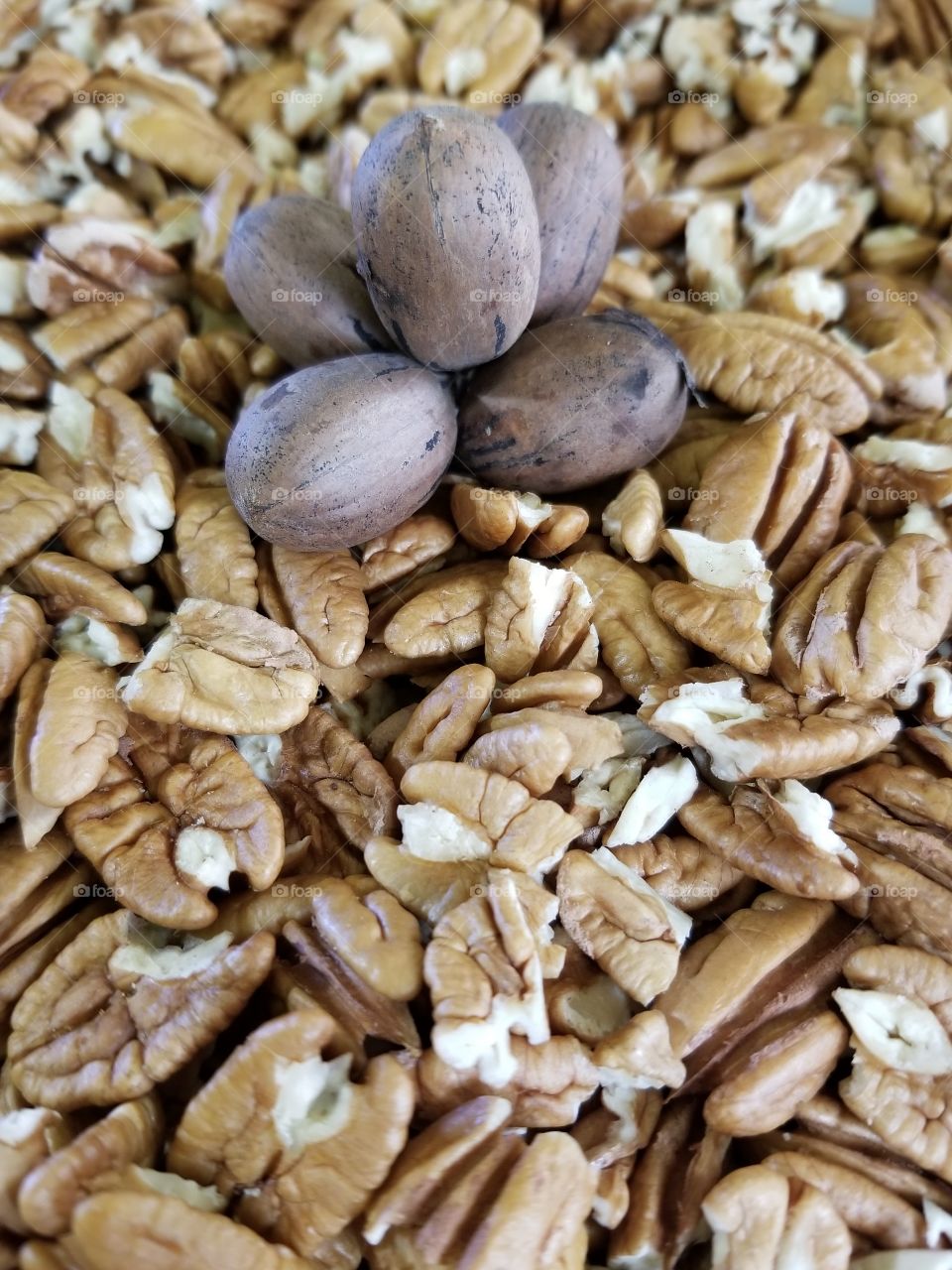 Whole Pecans vs Shelled Pecans