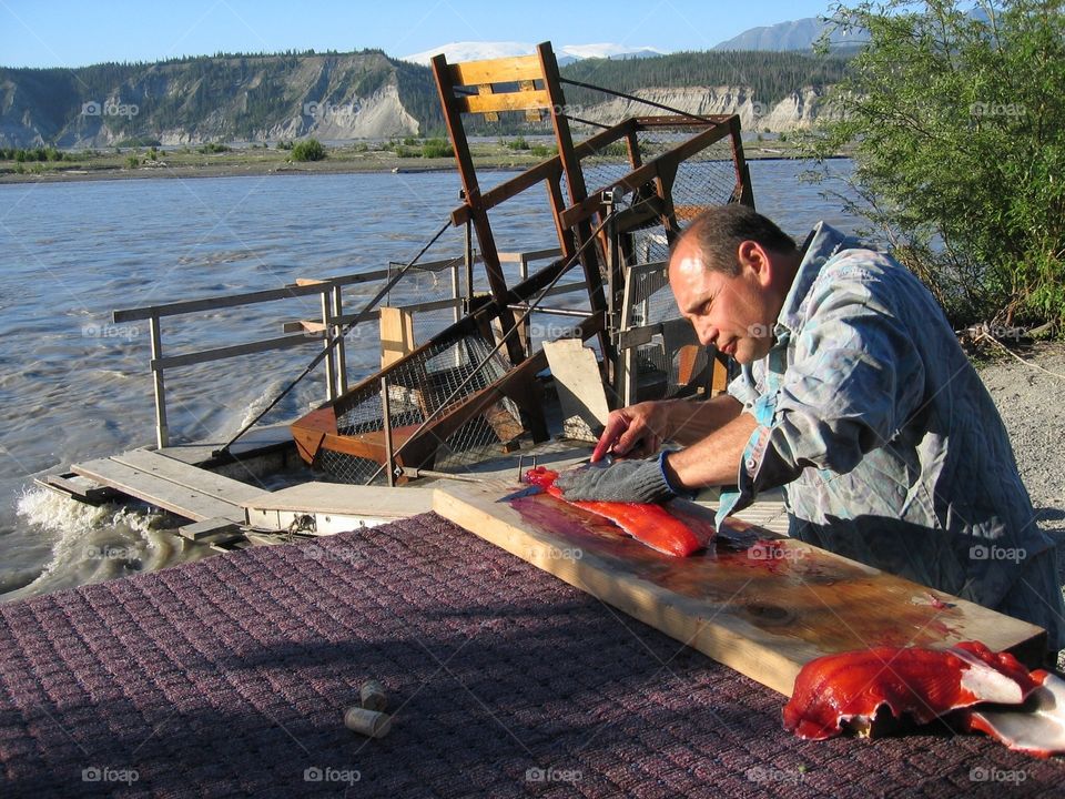 Copper River Red Salmon Chitina Alaska Fishwheel 