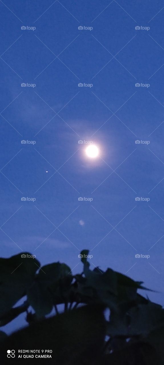 The moon looks beautiful. At night, the moon seems very low.