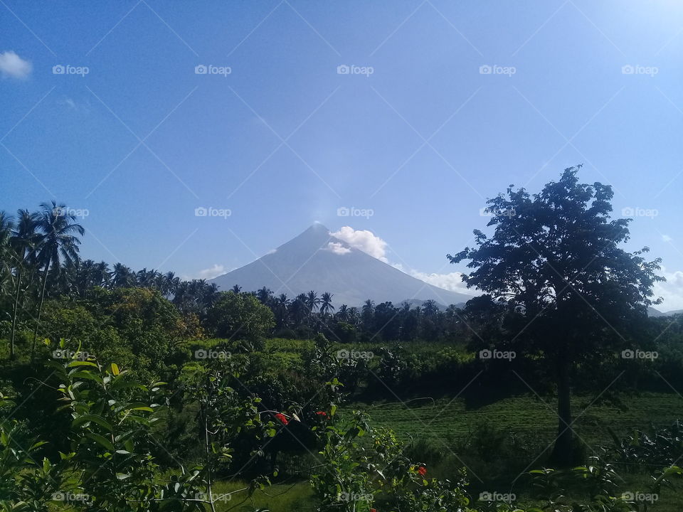 The Mayon Volcano