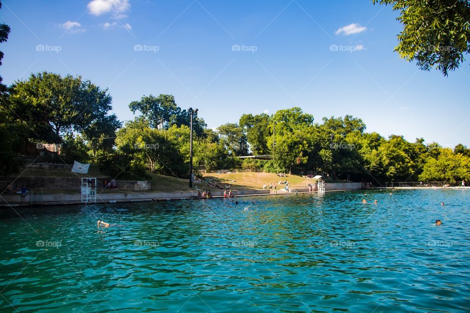 Barton Springs natural pool in Austin, Texas. Always 68° year round. 