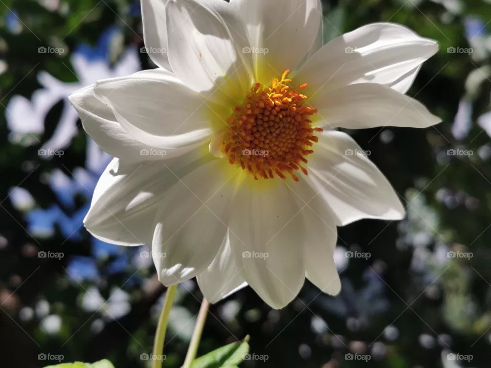 summers beauty