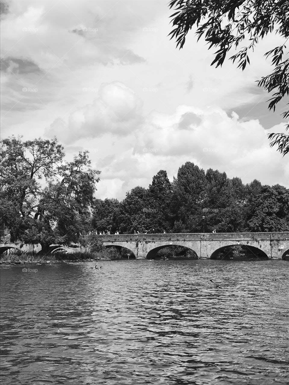 Monochrome bridge on river Avon 