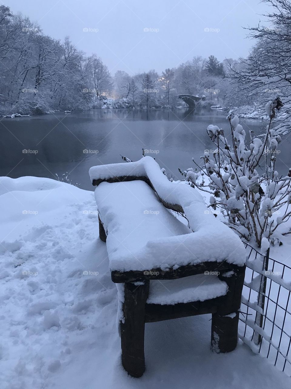 Snowy bench