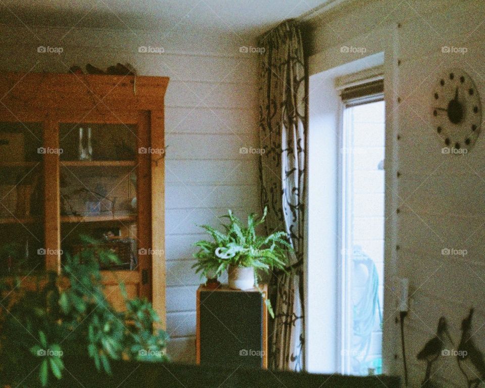 An ordinary room in a house! Window, curtains, cabinet, green plants in the interior