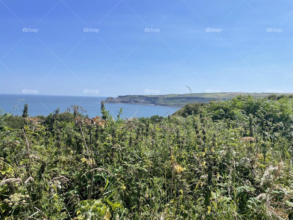 Today’s cliff top walk … the sun is shining and the sky is blue 💙