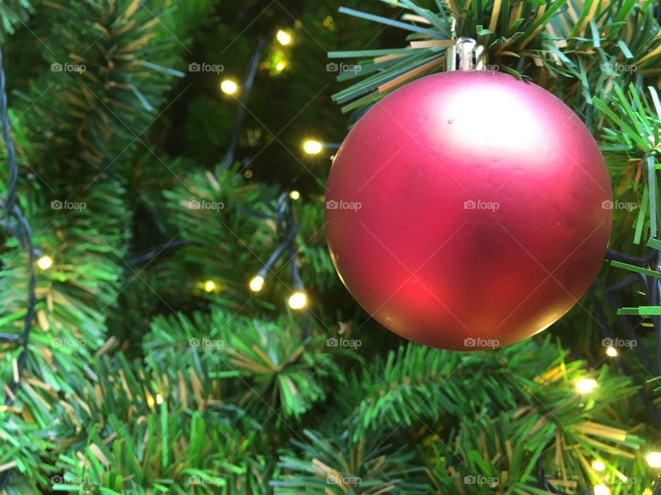 Red ornament on Christmas pine tree 
