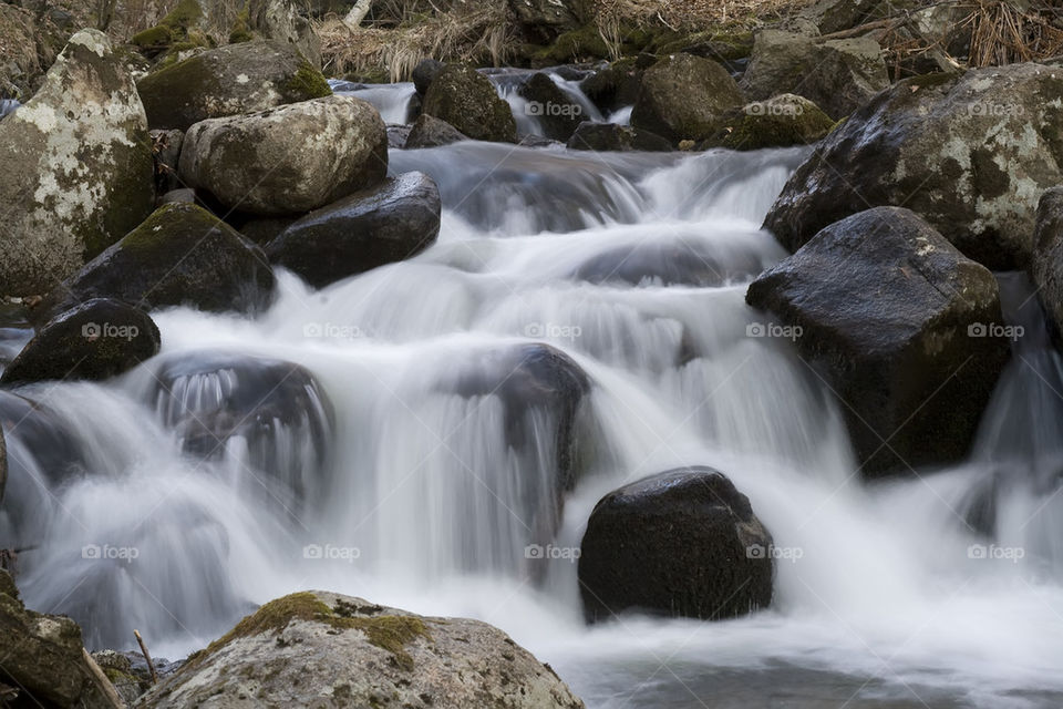 spring rapids among the rocks