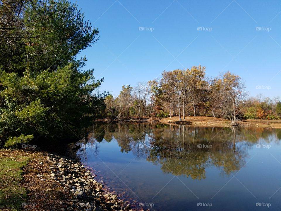 Autumn trees reflected on pond
