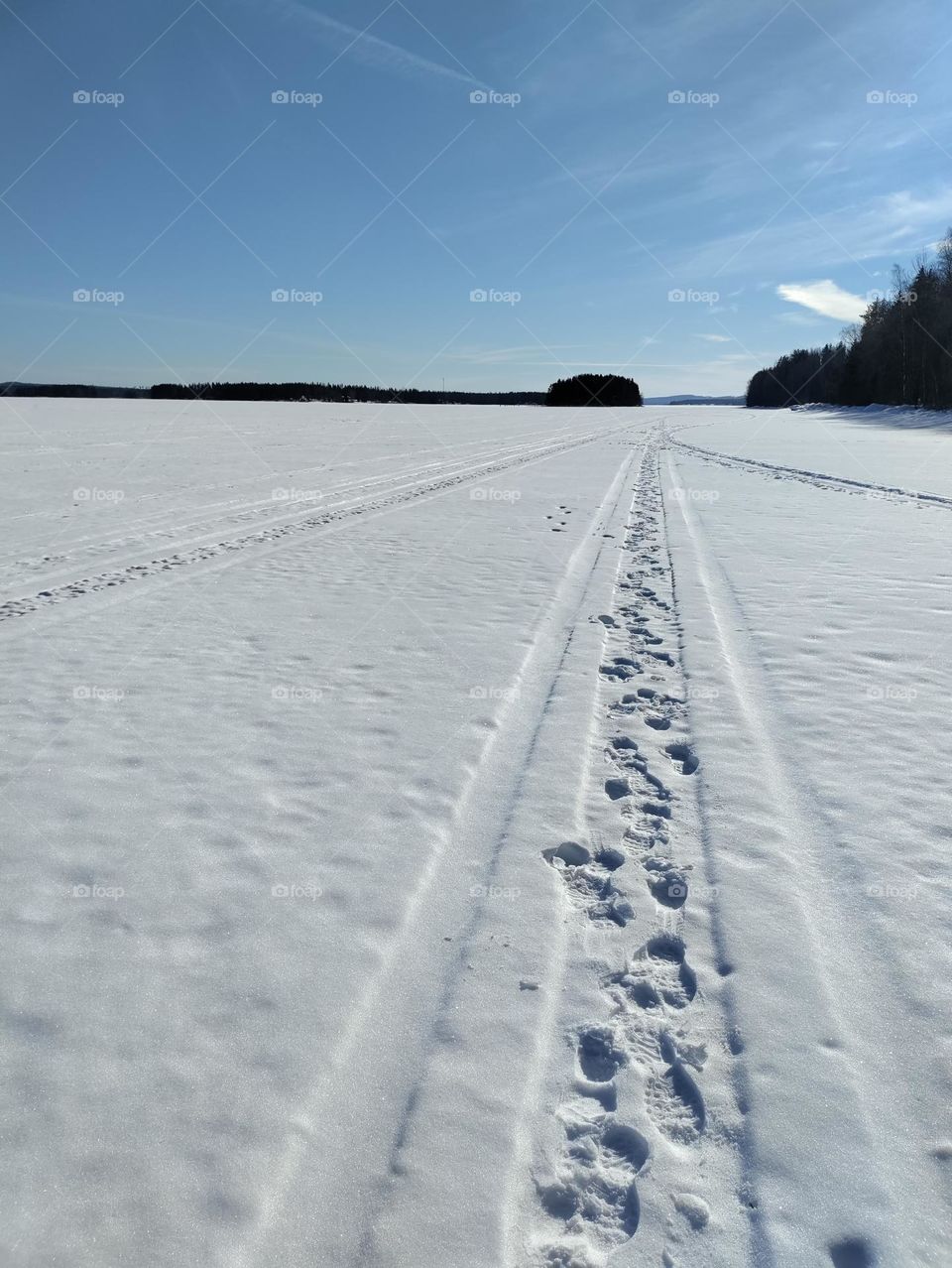 winter on the ice