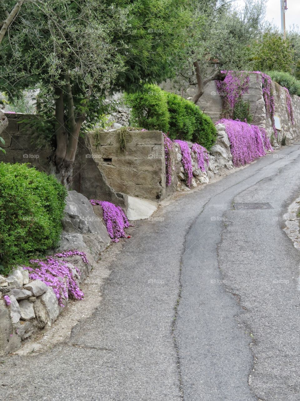 Nice road Italy