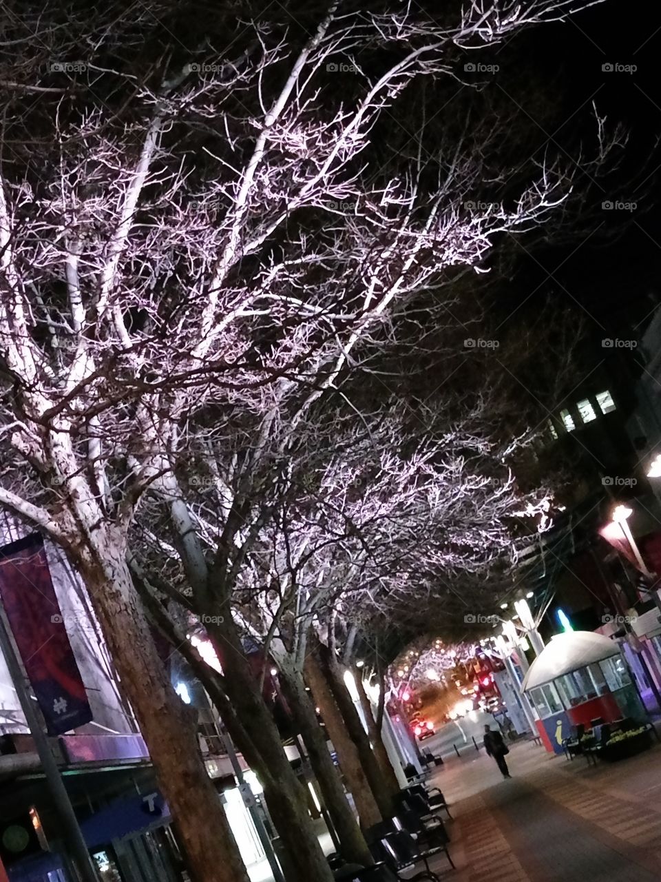 The Mall  At Night !