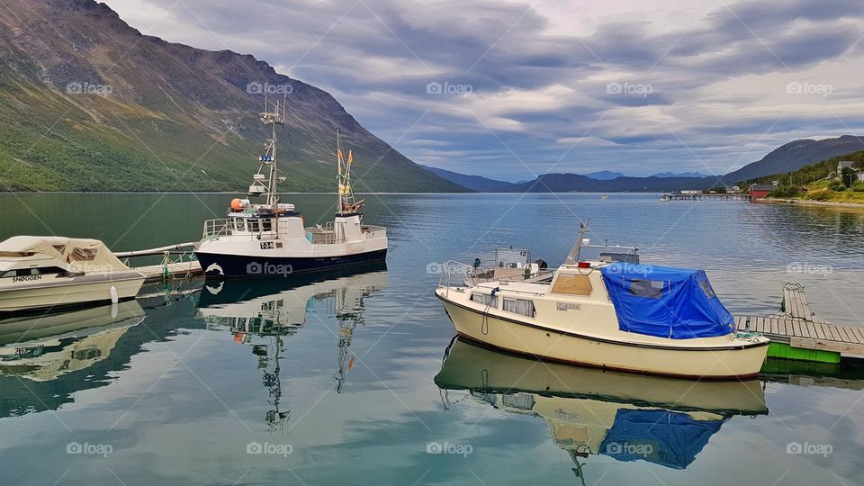 Norwegian nature,  Uløya