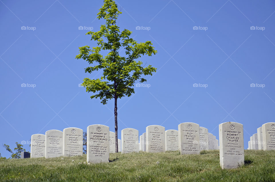 Soldier Ground. Arlington Cemetery