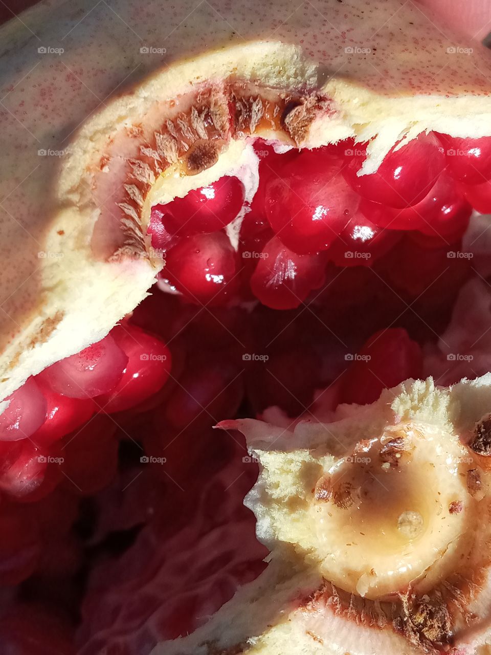 pomegranate