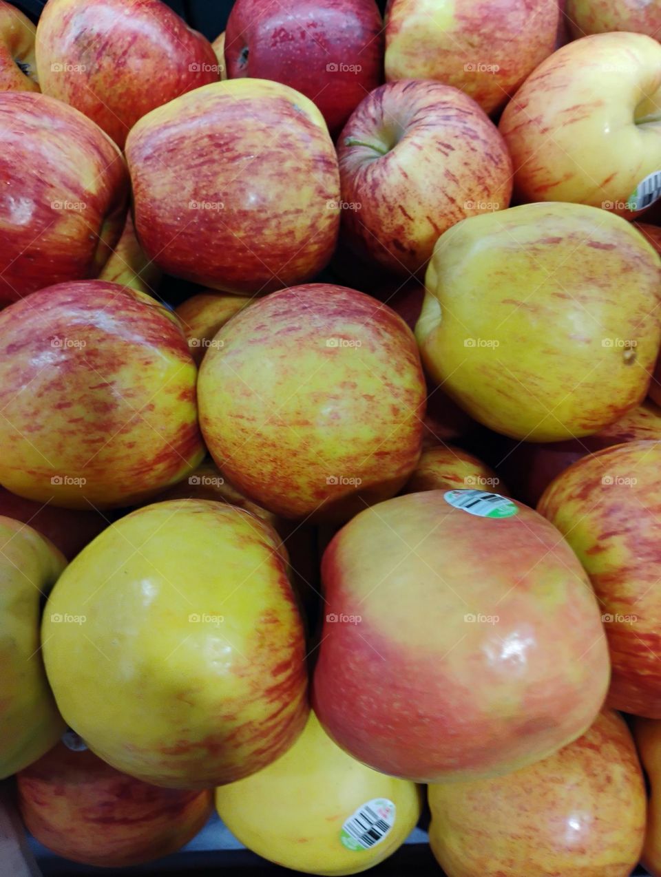 A maçã é uma fruta popular e nutritiva, que pode ser consumida durante todo o ano. Ela é rica em fibras,  vitaminas e sais minerais, o que a torna uma opção saudável para o inverno.