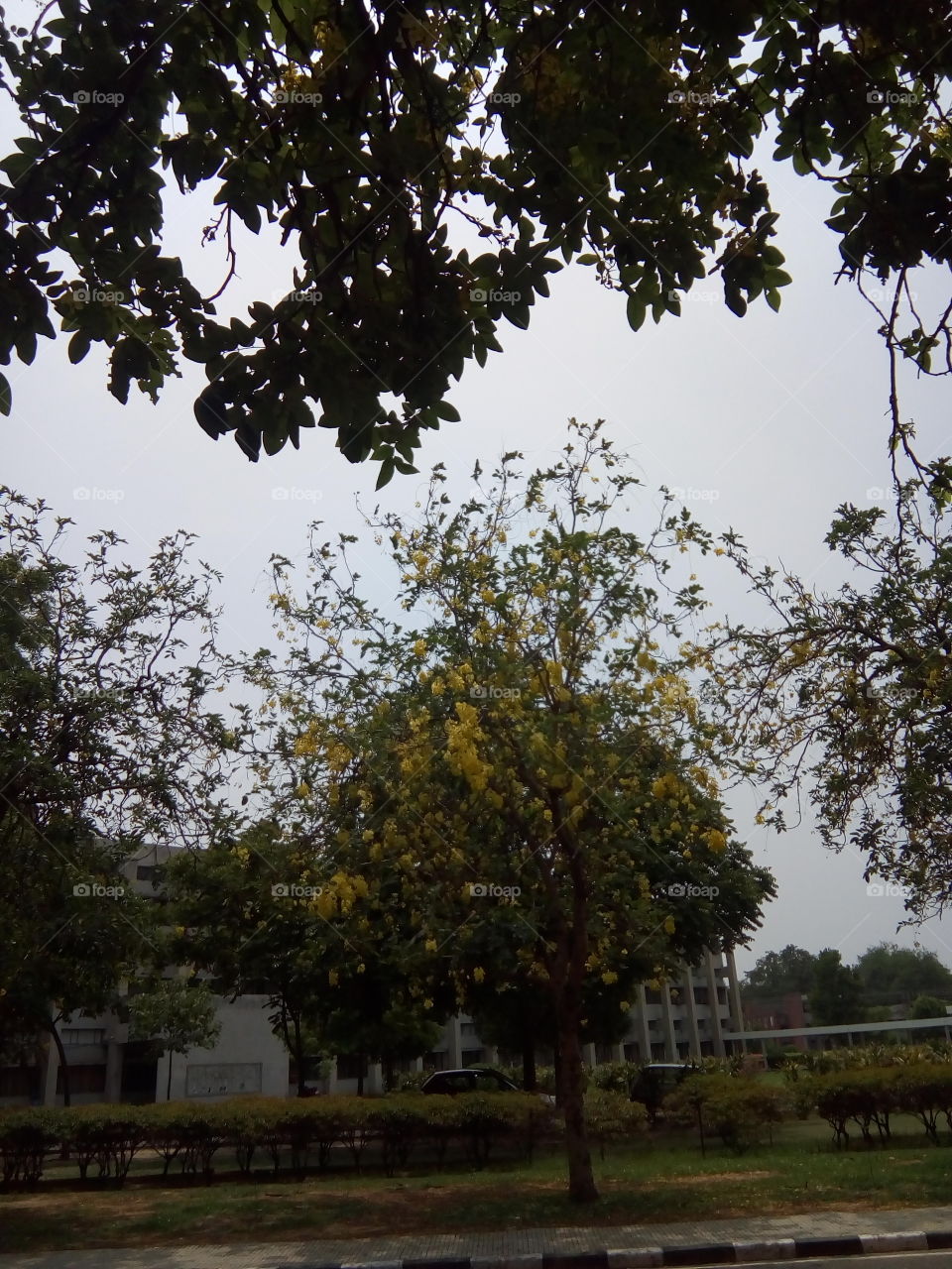 wonderful sight with green trees.