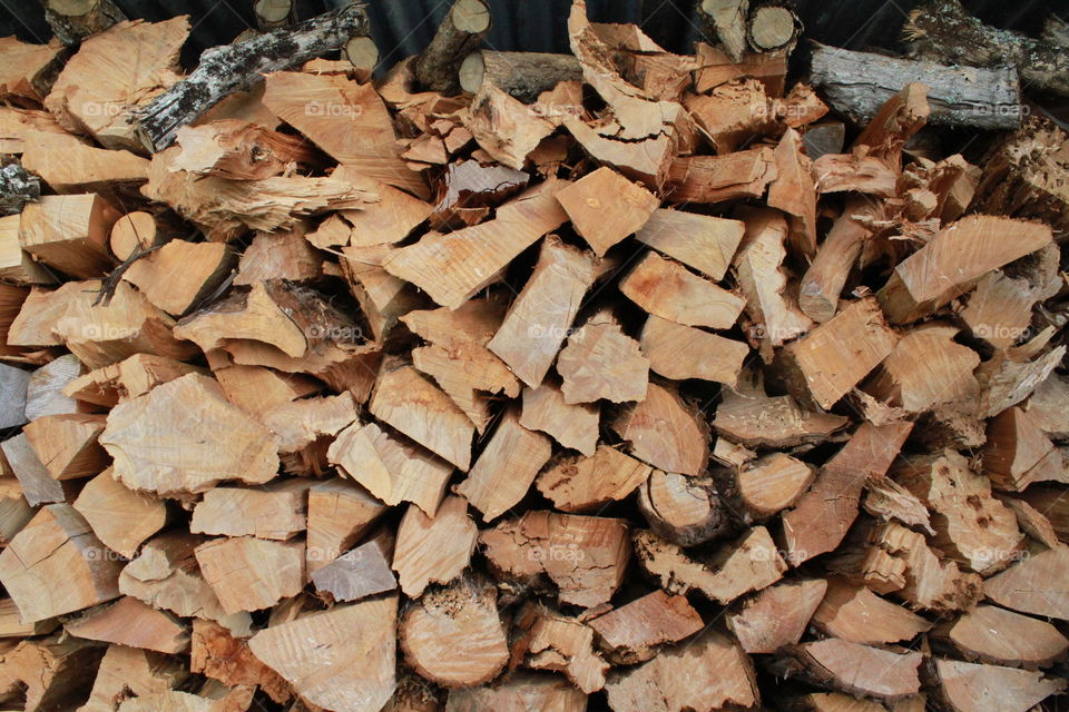 Fire Wood for the Winter